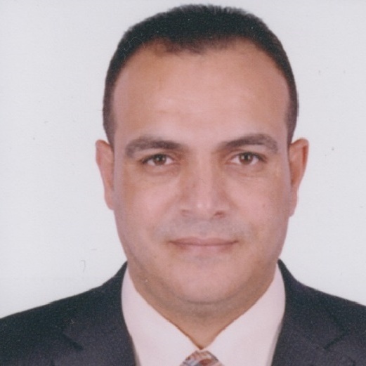 Prof. Khalid S. Essa 