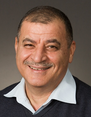 Prof. Nadhir Al-Ansari